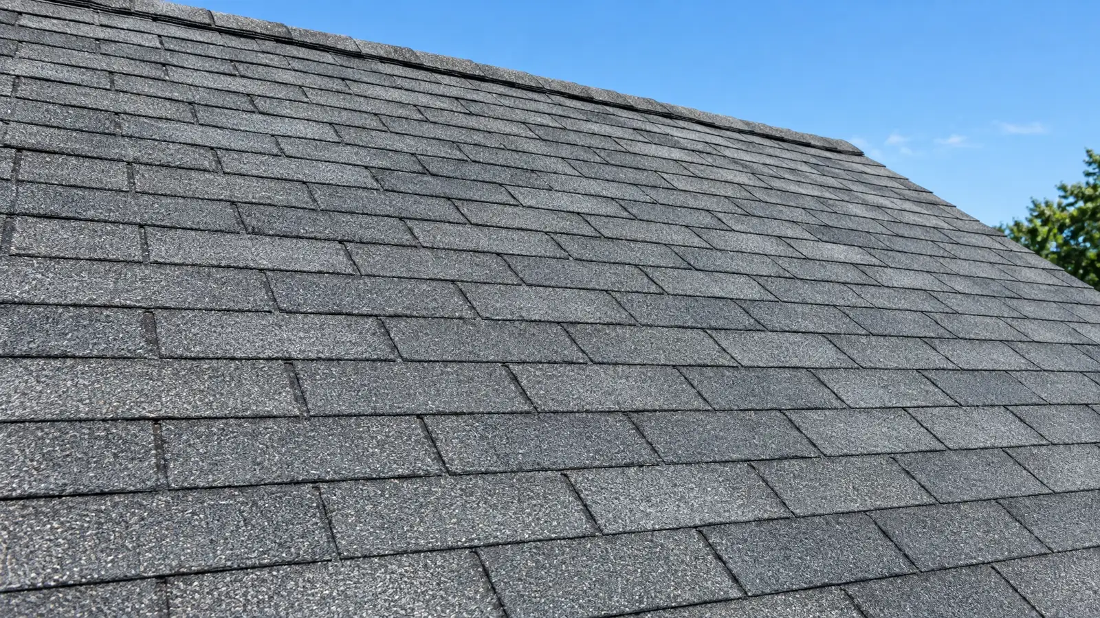 Surface view: shingles that look fine from a distance