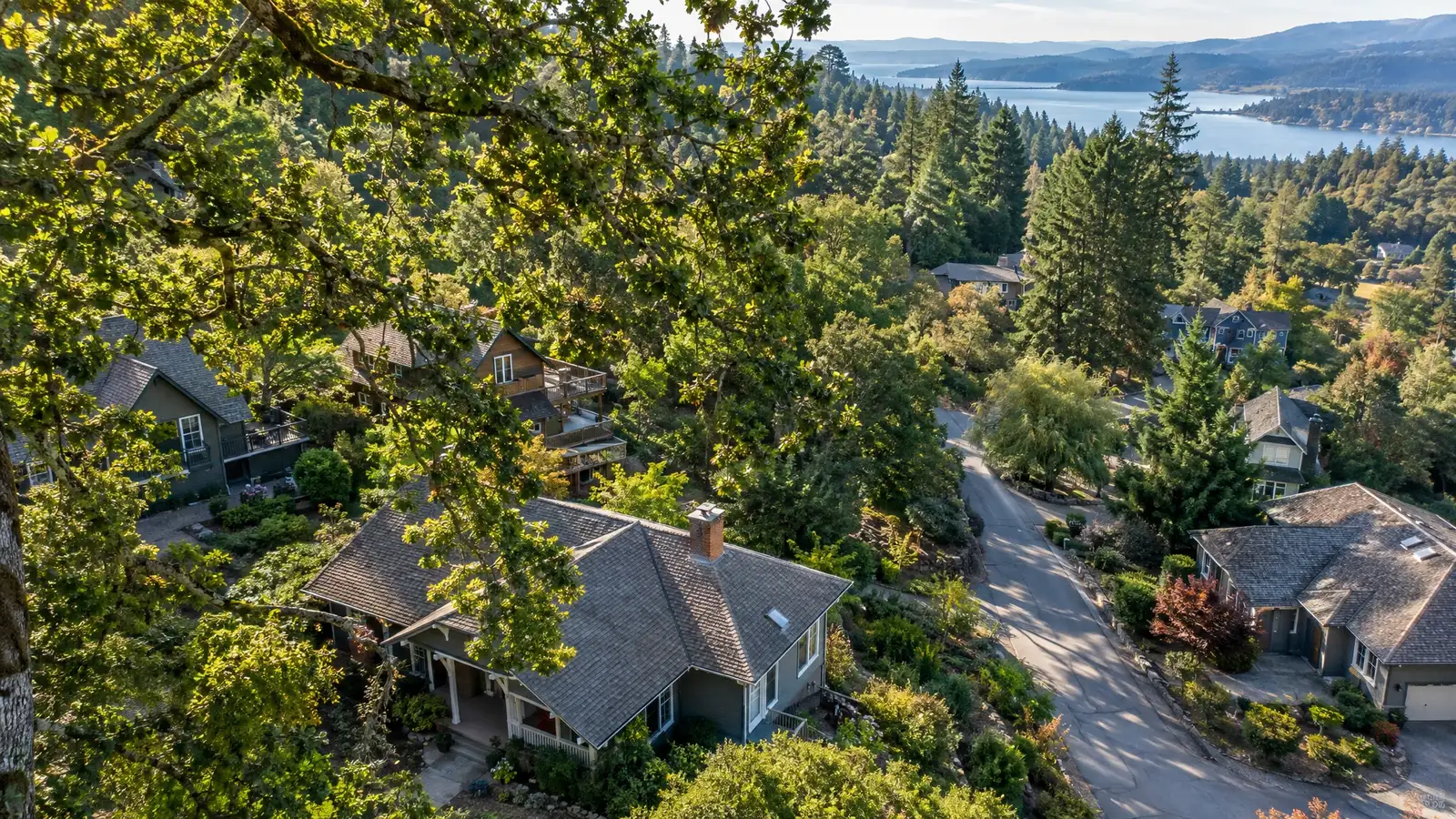 Roof inspection and leak detection in Fairview, Tennessee
