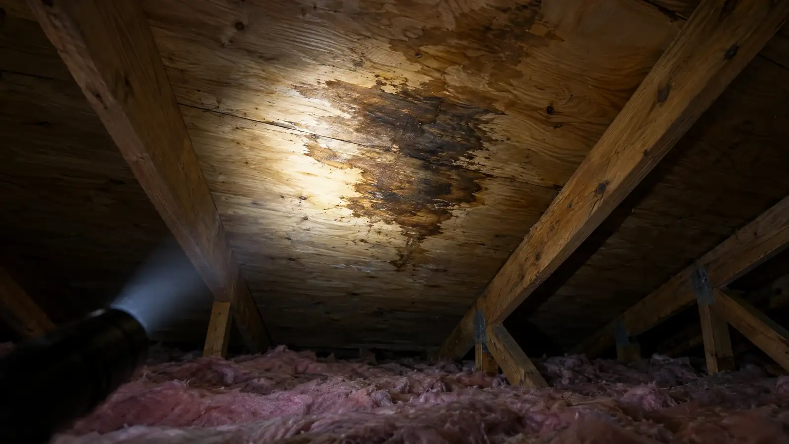 Attic Inspection and Moisture Check in Nashville